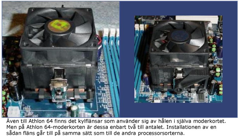 Men på Athlon 64-moderkorten är dessa enbart två till