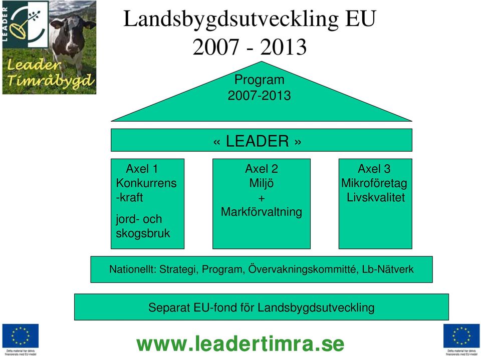 Axel 3 Mikroföretag Livskvalitet Nationellt: Strategi, Program,