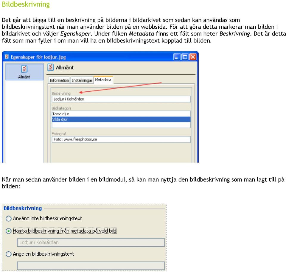 Under fliken Metadata finns ett fält som heter Beskrivning.