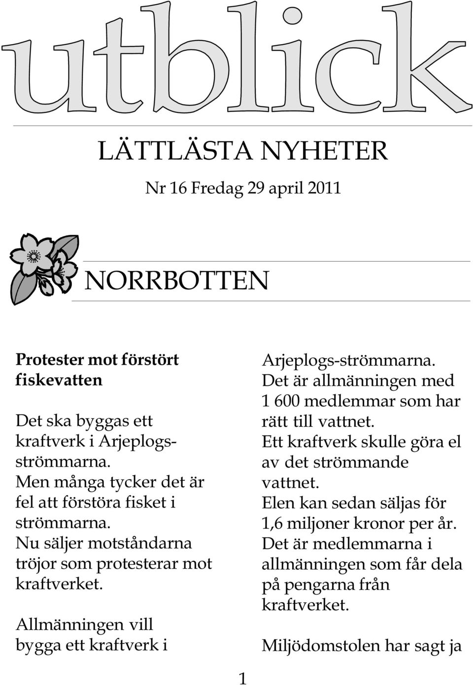 Allmänningen vill bygga ett kraftverk i Arjeplogs-strömmarna. Det är allmänningen med 1 600 medlemmar som har rätt till vattnet.