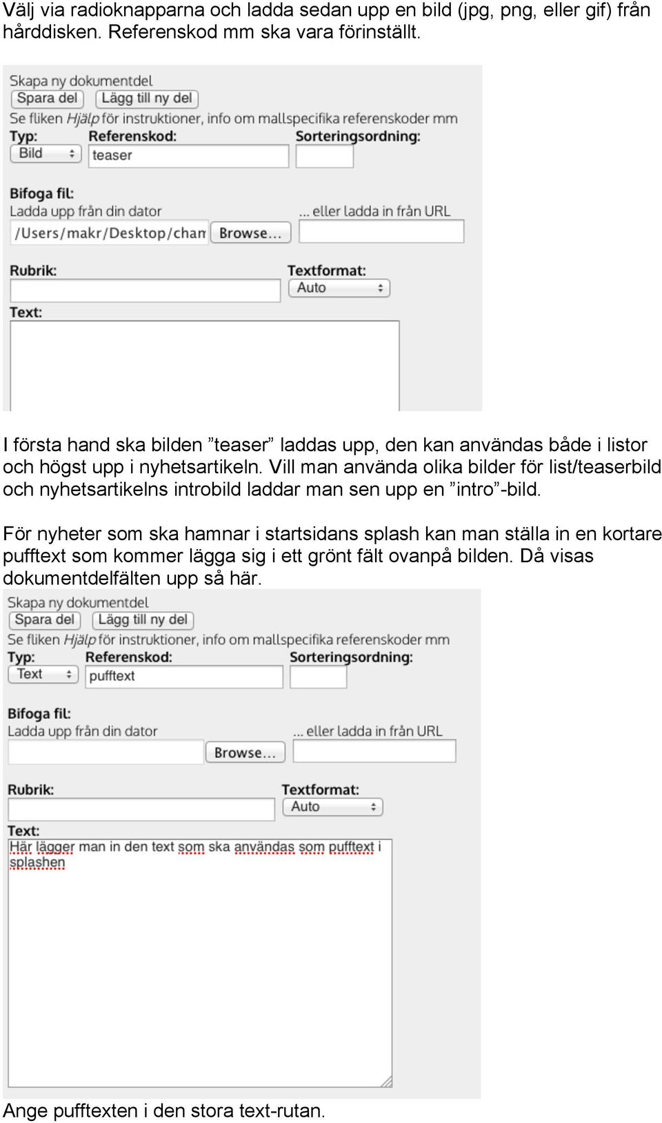 Vill man använda olika bilder för list/teaserbild och nyhetsartikelns introbild laddar man sen upp en intro -bild.