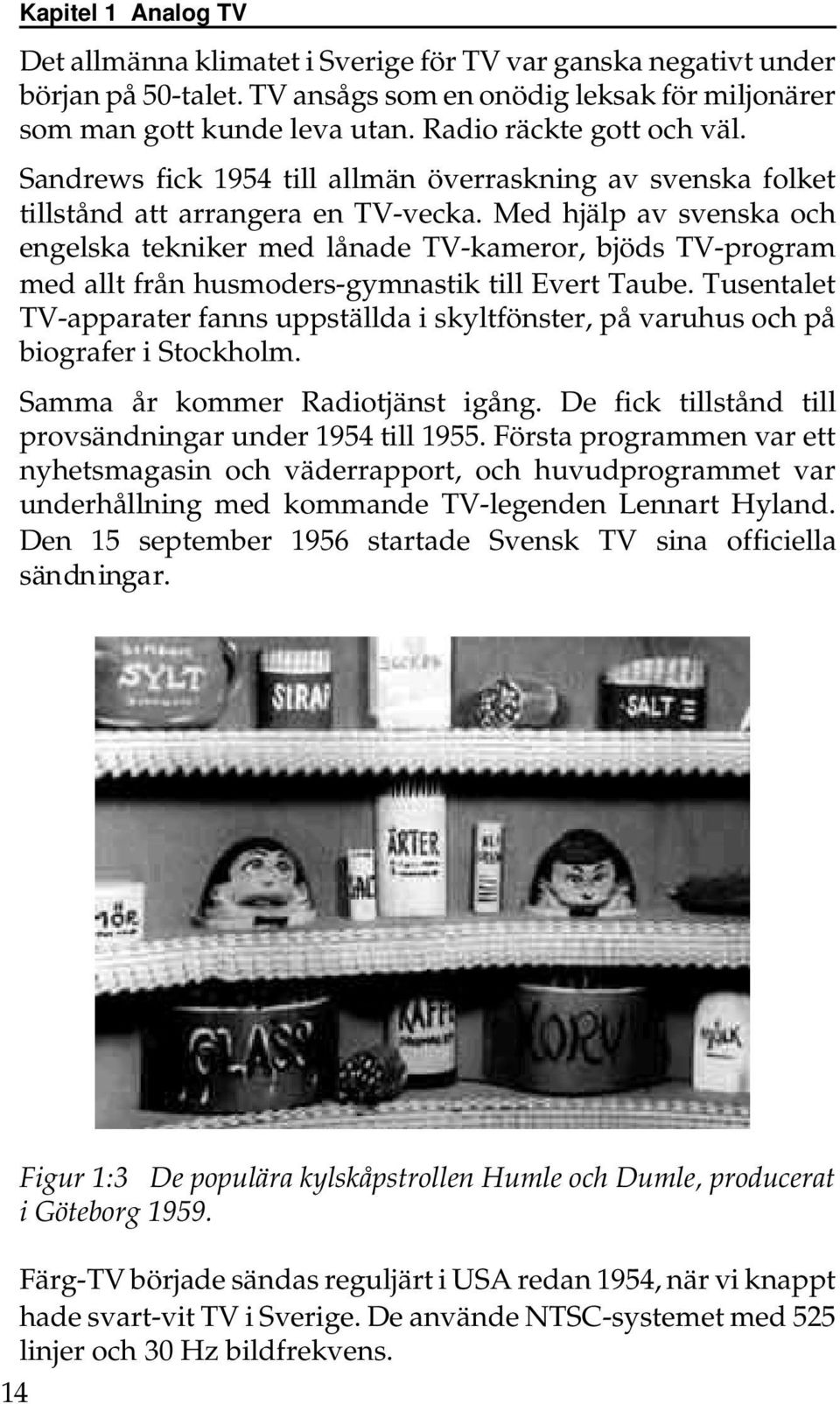 Med hjälp av svenska och engelska tekniker med lånade TV-kameror, bjöds TV-program med allt från husmoders-gymnastik till Evert Taube.