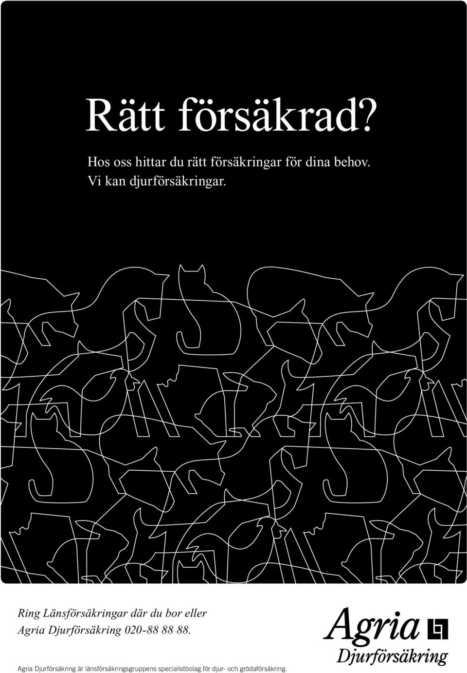 Vi kan djurförsäkringar.