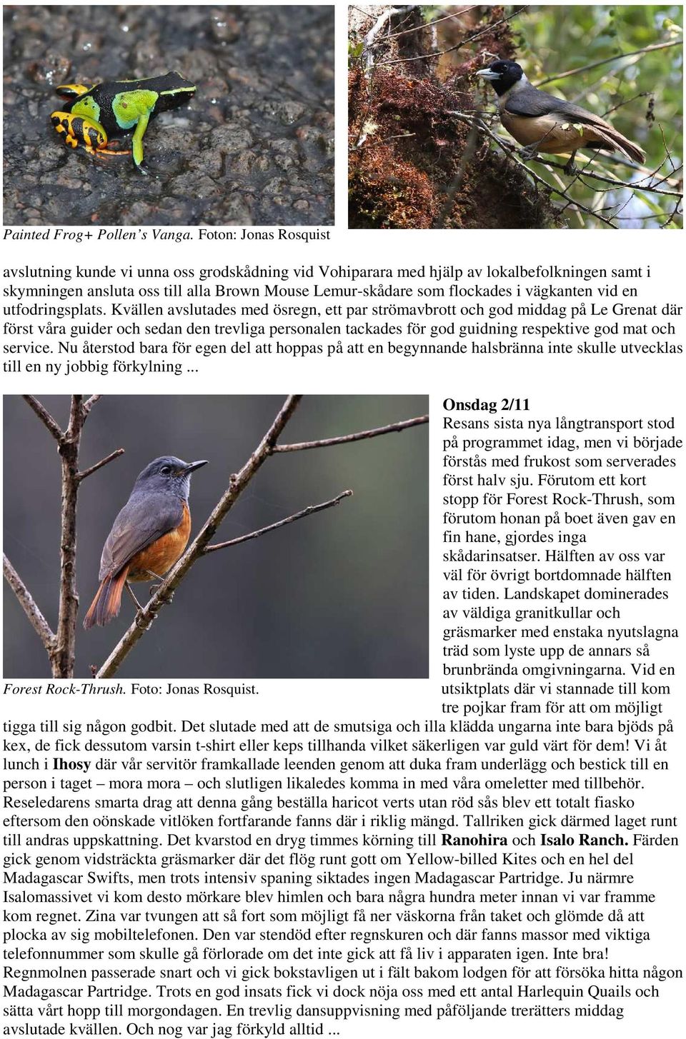 vägkanten vid en utfodringsplats.