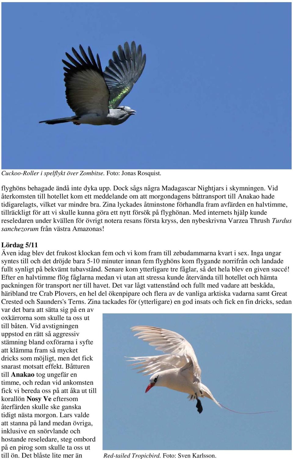 Zina lyckades åtminstone förhandla fram avfärden en halvtimme, tillräckligt för att vi skulle kunna göra ett nytt försök på flyghönan.