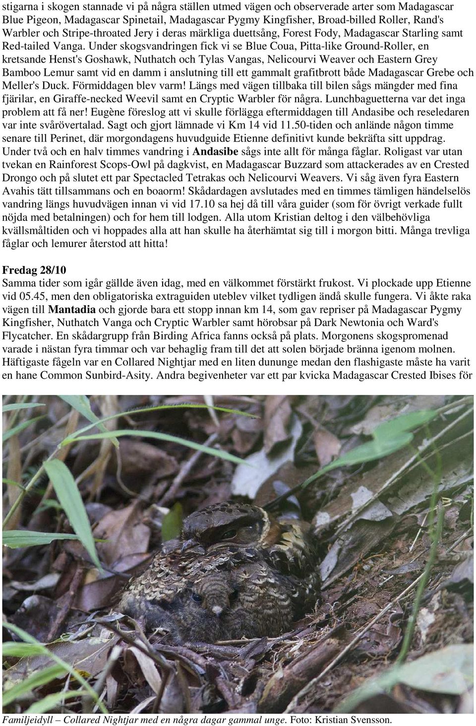 Under skogsvandringen fick vi se Blue Coua, Pitta-like Ground-Roller, en kretsande Henst's Goshawk, Nuthatch och Tylas Vangas, Nelicourvi Weaver och Eastern Grey Bamboo Lemur samt vid en damm i