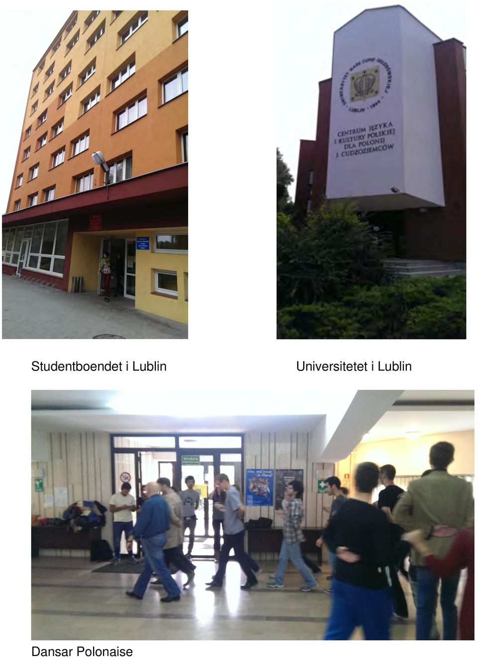 ! Universitetet