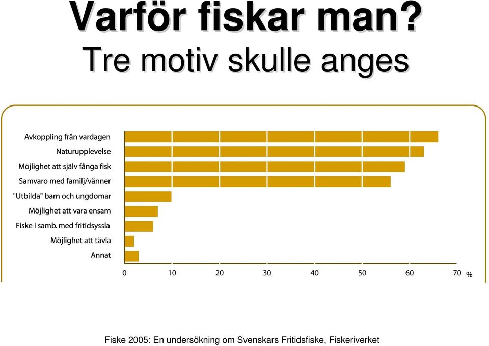 Fiske 2005: En undersökning