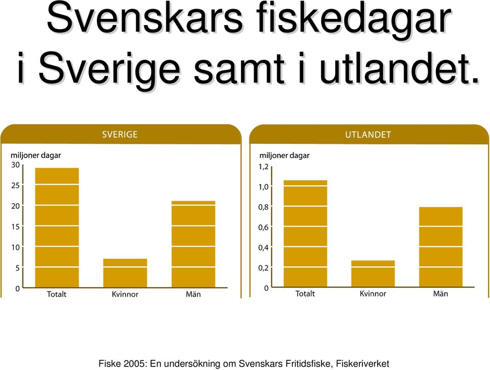 Fiske 2005: En undersökning