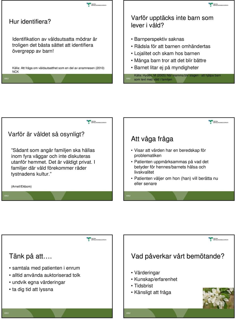 litar ej på myndigheter Källa: Hydén, M (2005) När mamma blir slagen - att hjälpa barn som levt med våld i familjen Varför är våldet så osynligt?