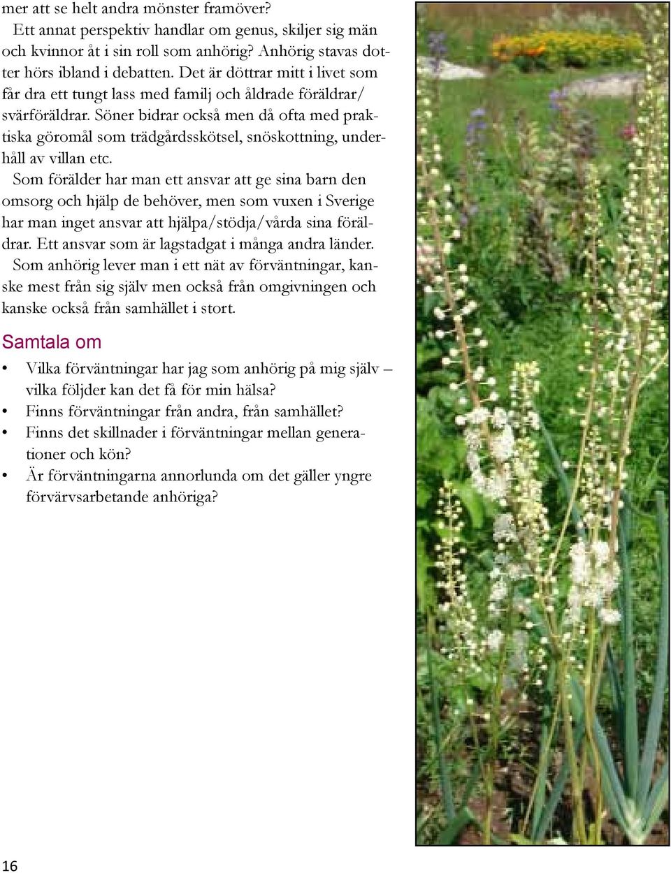 Söner bidrar också men då ofta med praktiska göromål som trädgårdsskötsel, snöskottning, underhåll av villan etc.