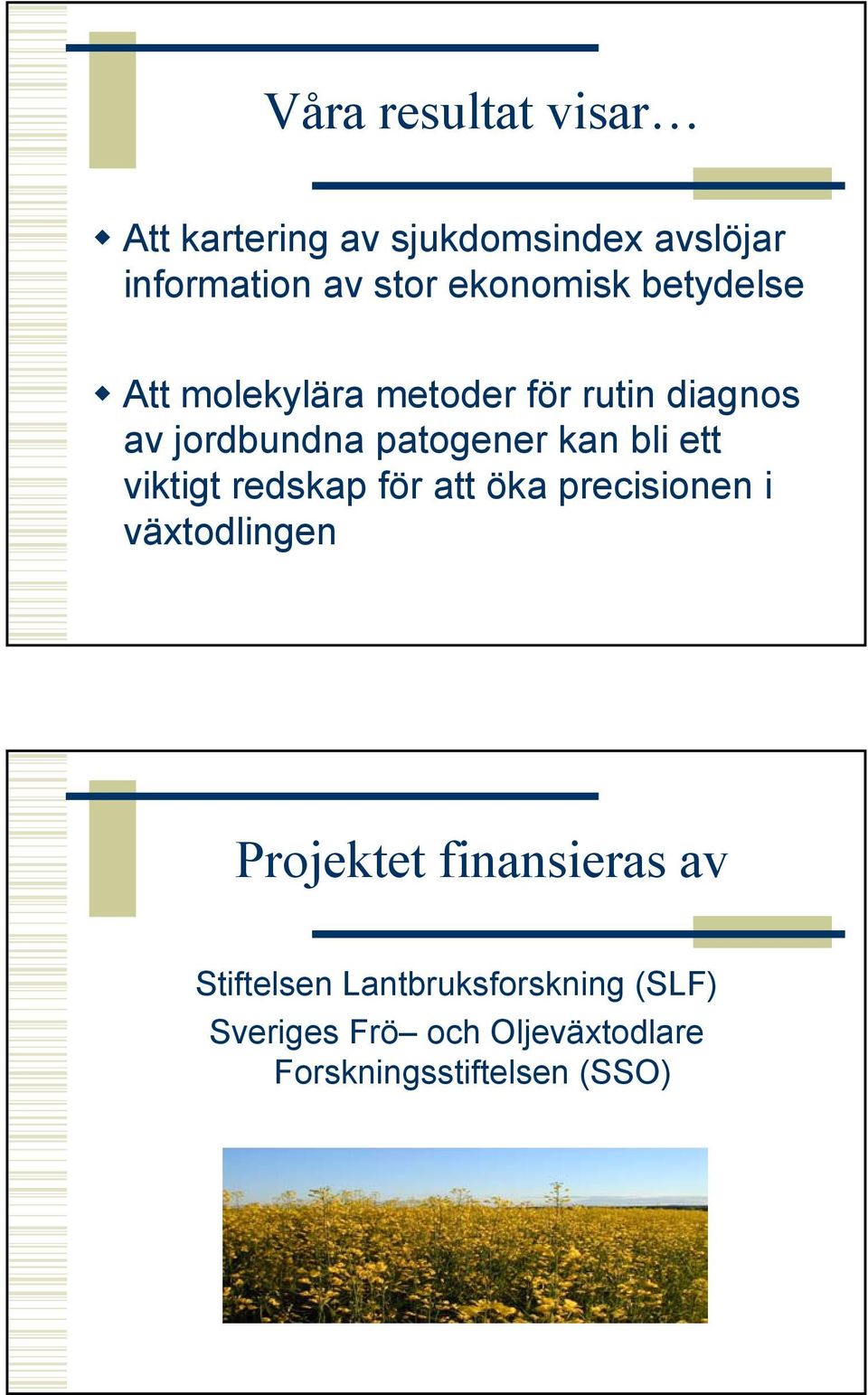kan bli ett viktigt redskap för att öka precisionen i växtodlingen Projektet