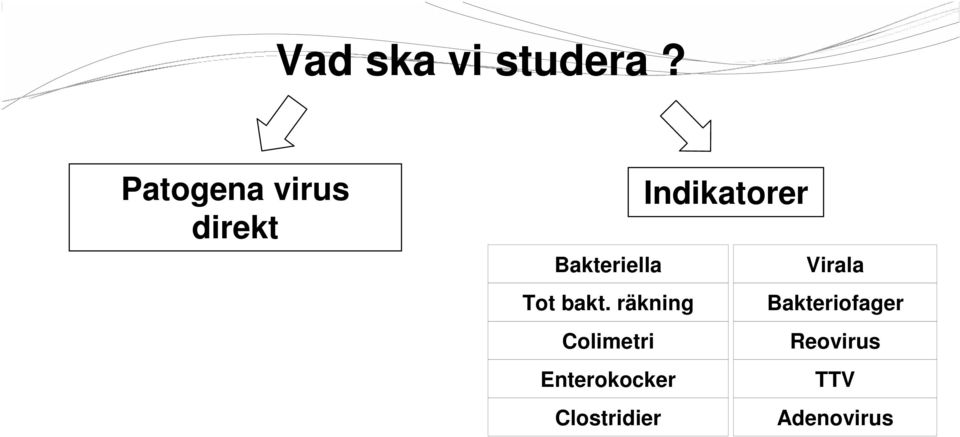 Bakteriella Virala Tot bakt.