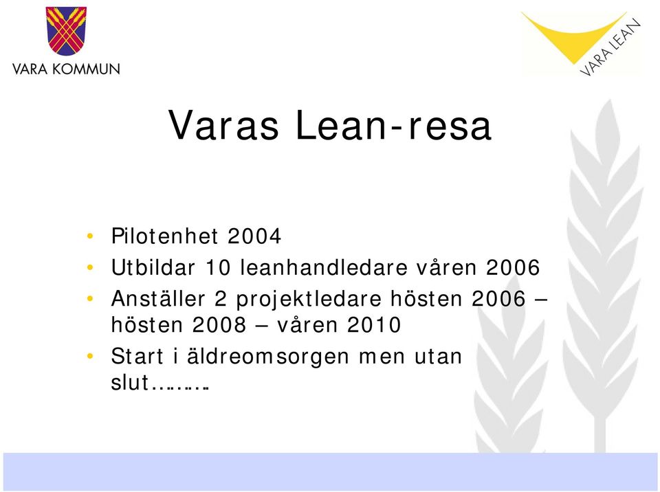 projektledare hösten 2006 hösten 2008