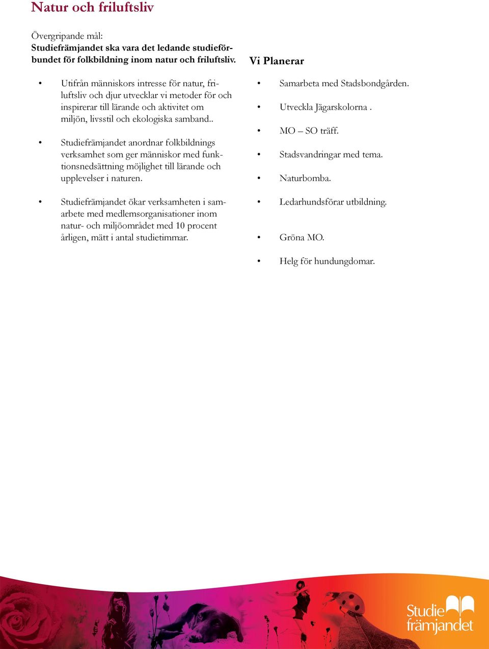 . Studiefrämjandet anordnar folkbildnings verksamhet som ger människor med funktionsnedsättning möjlighet till lärande och upplevelser i naturen.