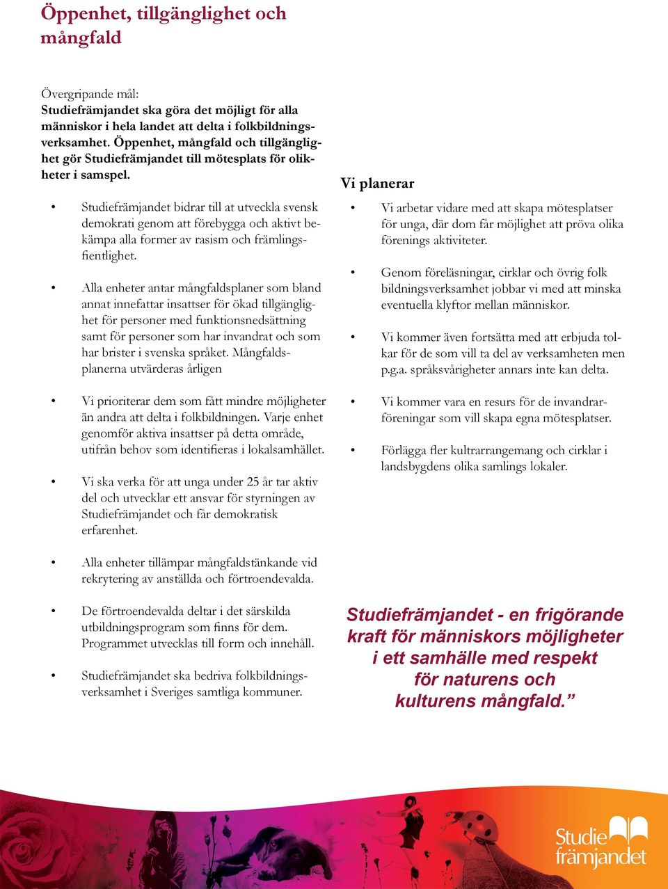 Studiefrämjandet bidrar till at utveckla svensk demokrati genom att förebygga och aktivt bekämpa alla former av rasism och främlingsfientlighet.