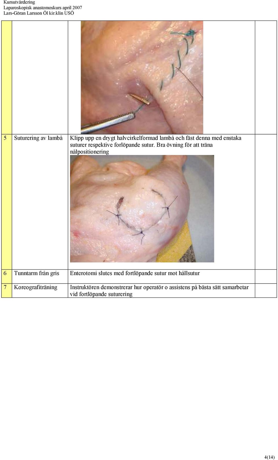 övning för att träna nålpositionering 6 Tunntarm från gris Enterotomi slutes med fortlöpande