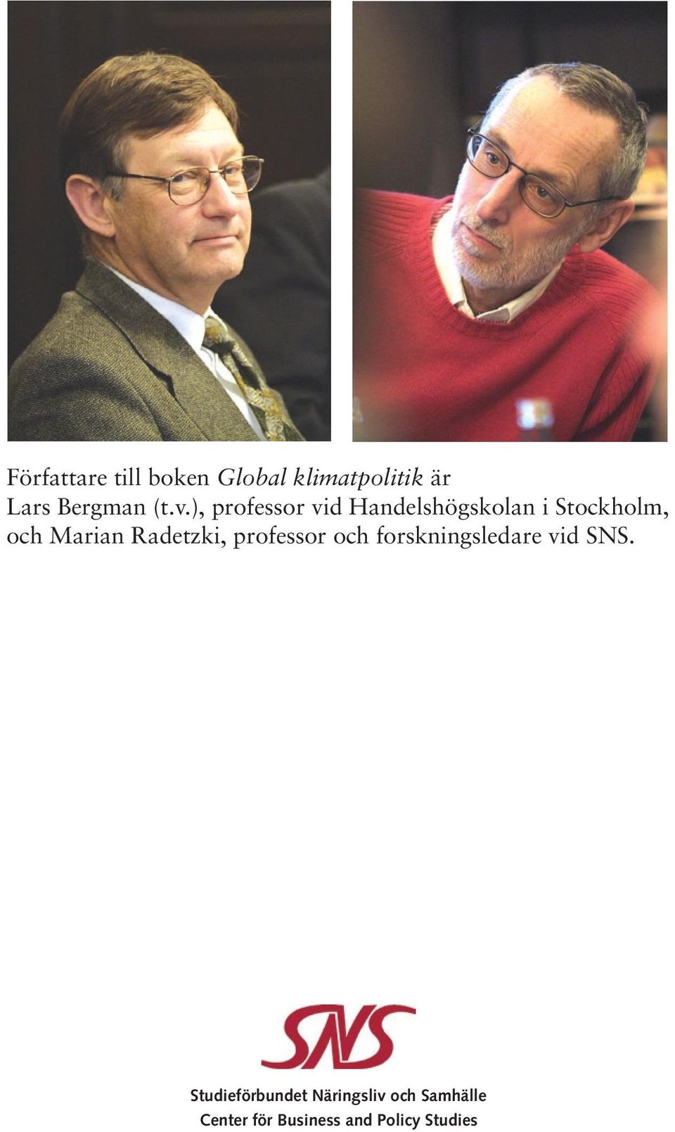 Radetzki, professor och forskningsledare vid SNS.