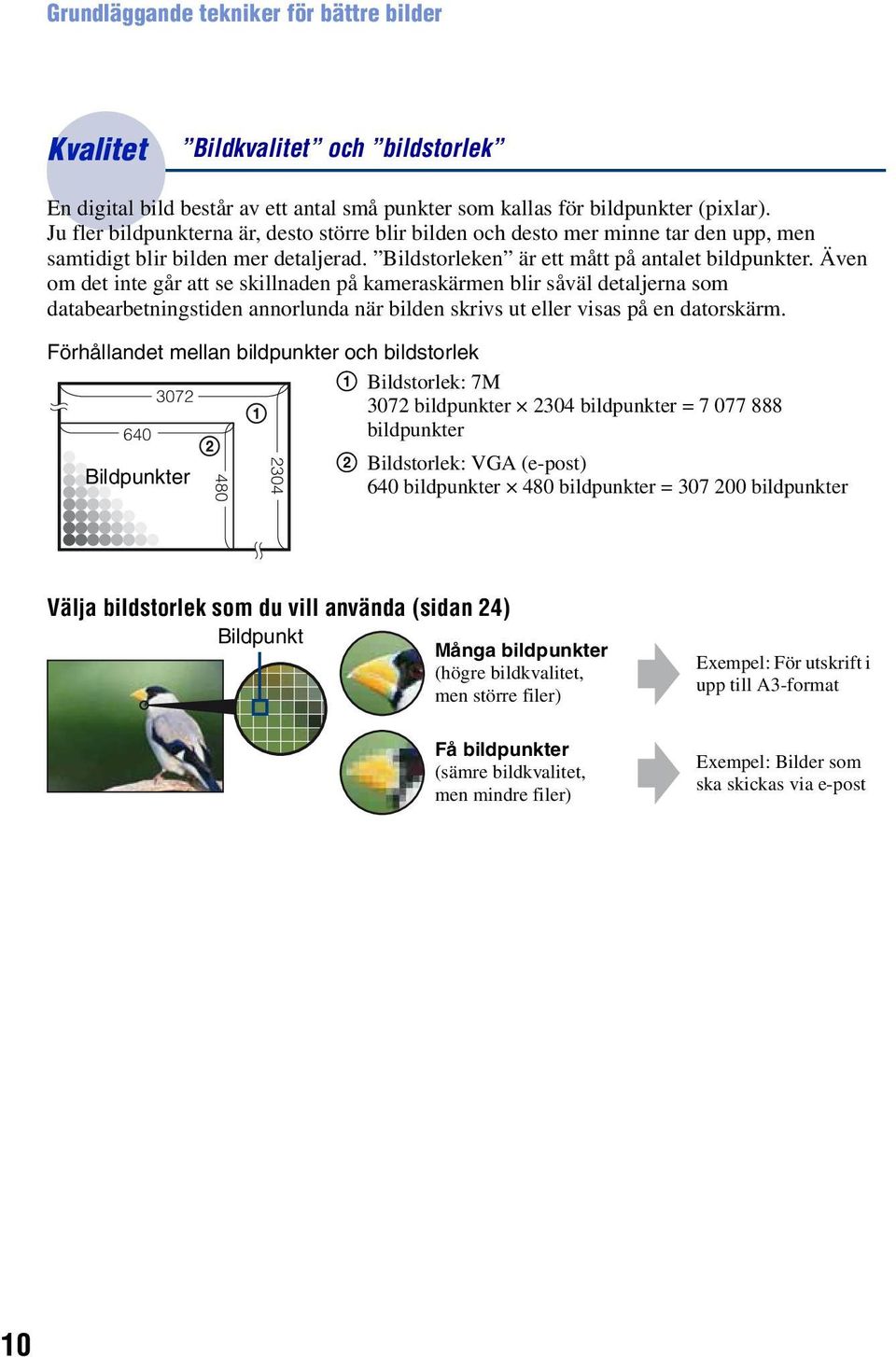 Även om det inte går att se skillnaden på kameraskärmen blir såväl detaljerna som databearbetningstiden annorlunda när bilden skrivs ut eller visas på en datorskärm.