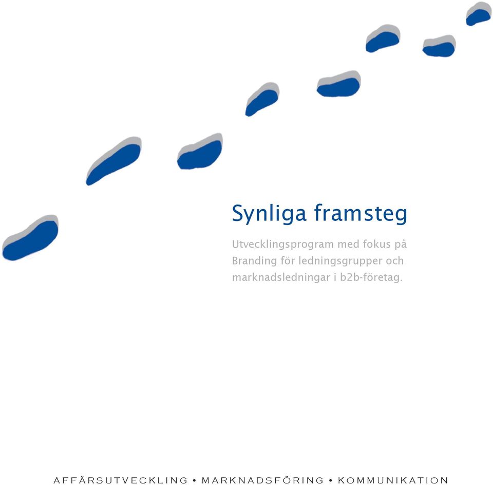 marknadsledningar i b2b-företag.