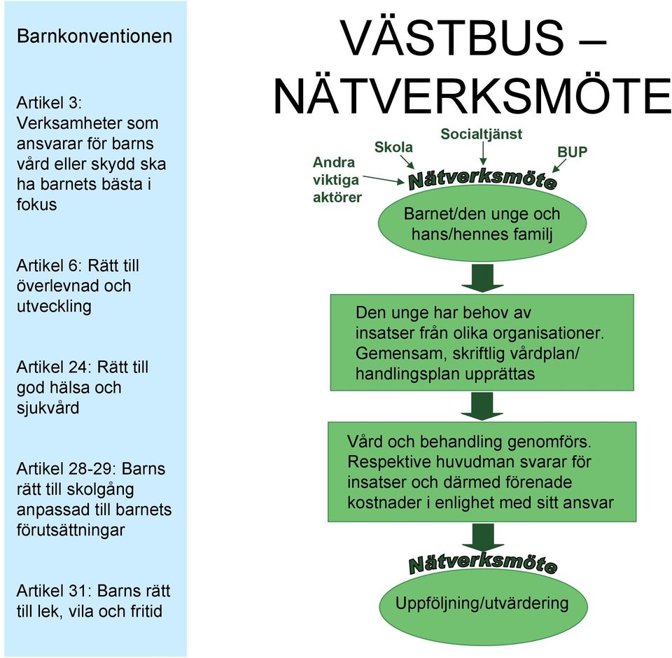 Gemensam, skriftlig vårdplan/ handlingsplan upprättas Vård och behandling genomförs.