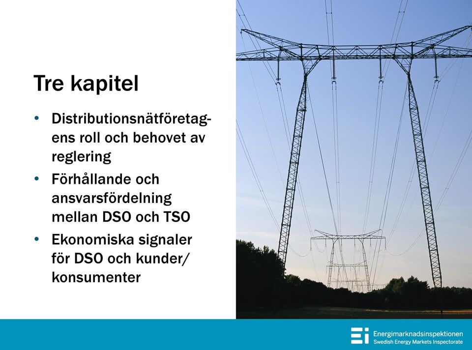 ansvarsfördelning mellan DSO och TSO