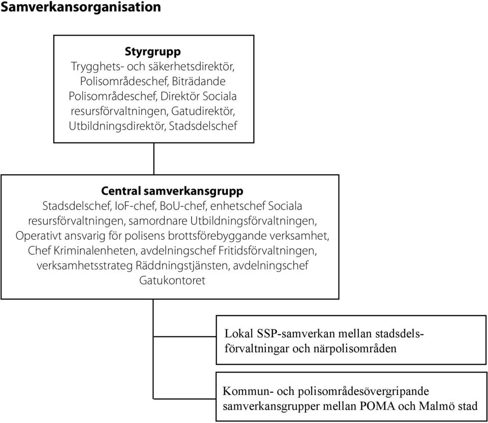 Utbildningsförvaltningen, Operativt ansvarig för polisens brottsförebyggande verksamhet, Chef Kriminalenheten, avdelningschef Fritidsförvaltningen, verksamhetsstrateg