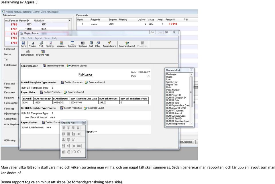 Sedan genererar man rapporten, och får upp en layout som man kan