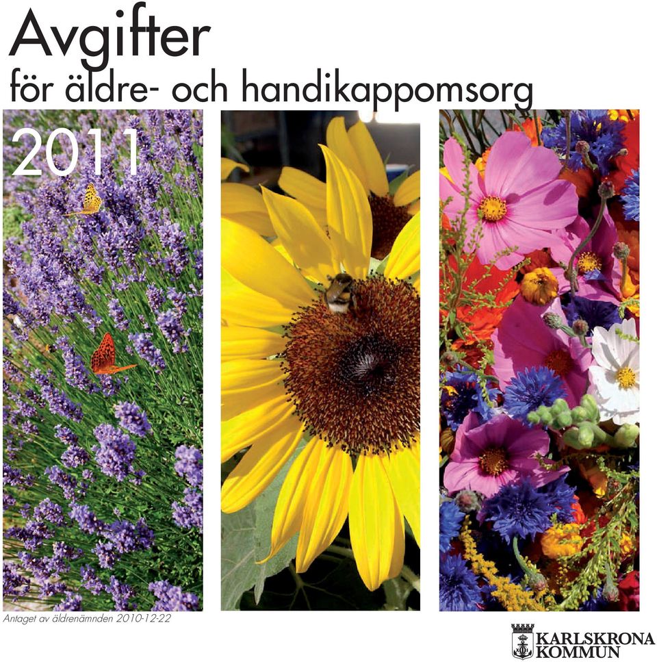 2011 Antaget av