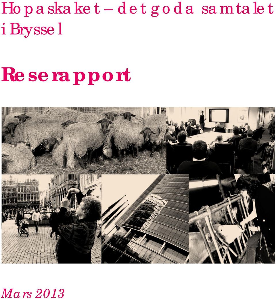 i Bryssel