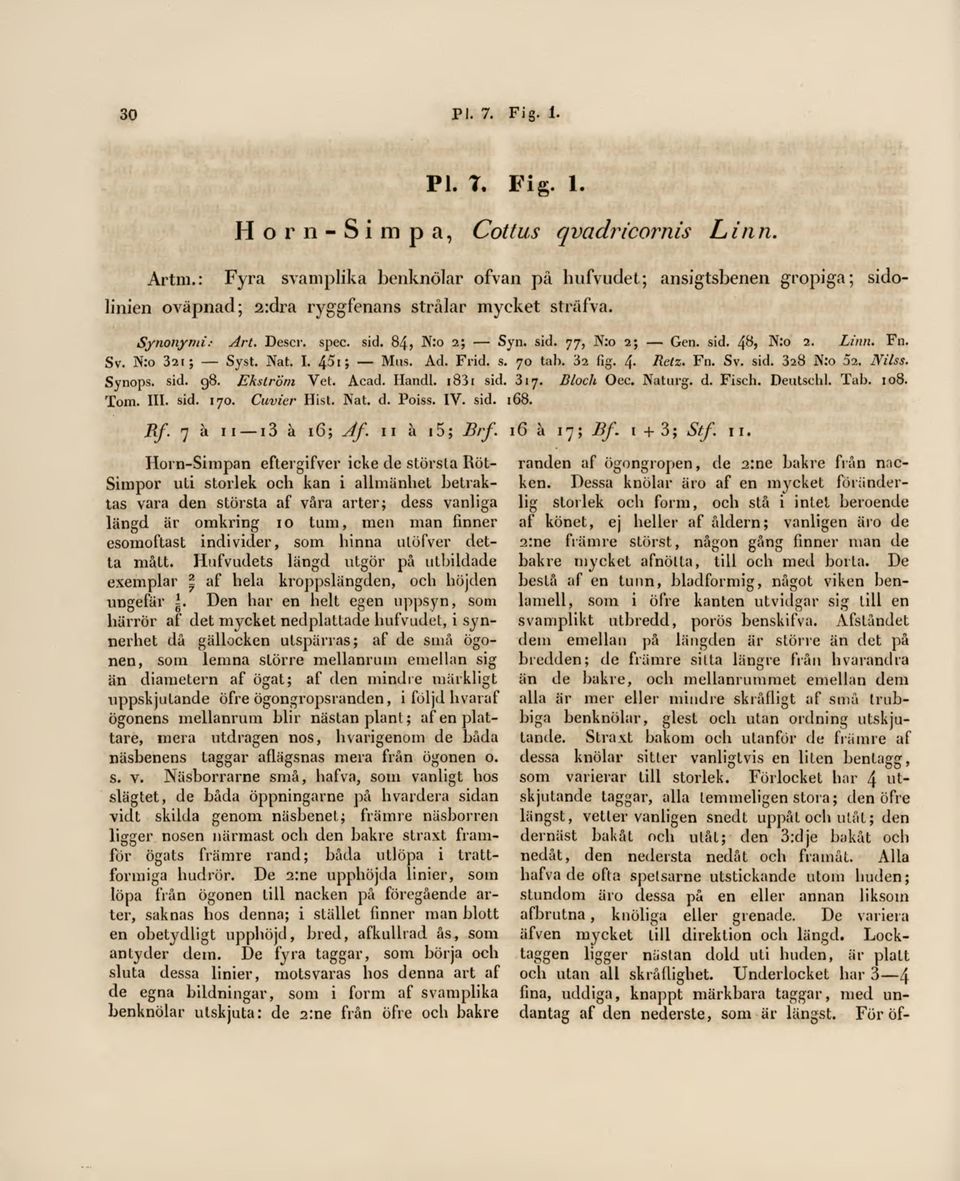 Frid. s. 70 tab. 3a fig. 4. Relz. Fn. Sv. sid. 328 N:o sa, Miss. Synops. sid. 98. Ekström Vet. Acad. Handl. ib3i sid. 317. Bloch Oec. Naturg. d. Fiseh. Deutschl. Tab. 108. Tom. 111. sid. 170.