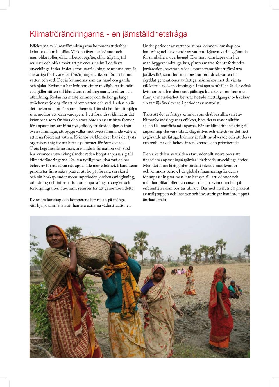 I de flesta utvecklingsländer är det i stor utsträckning kvinnorna som är ansvariga för livsmedelsförsörjningen, liksom för att hämta vatten och ved. Det är kvinnorna som tar hand om gamla och sjuka.