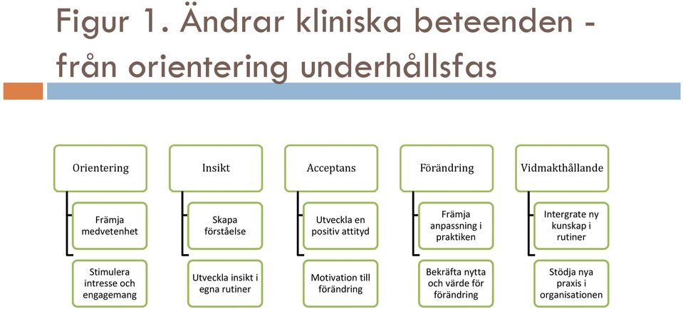 Vidmakthållande Främja medvetenhet Skapa förståelse Utveckla en positiv attityd Främja anpassning i