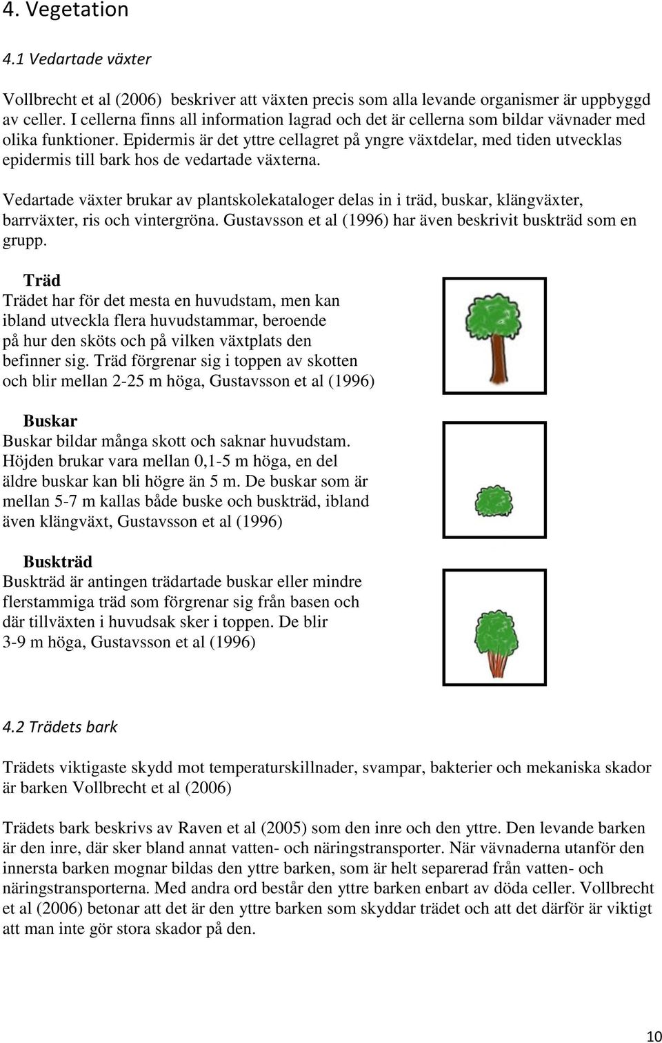 Epidermis är det yttre cellagret på yngre växtdelar, med tiden utvecklas epidermis till bark hos de vedartade växterna.