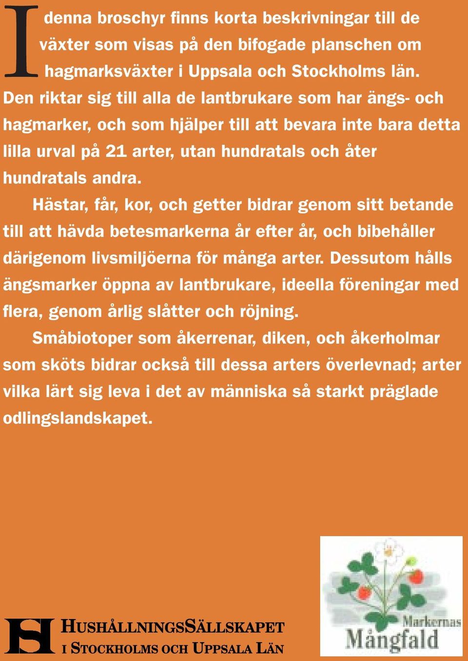 Hästar, får, kor, och getter bidrar genom sitt betande till att hävda betesmarkerna år efter år, och bibehåller därigenom livsmiljöerna för många arter.