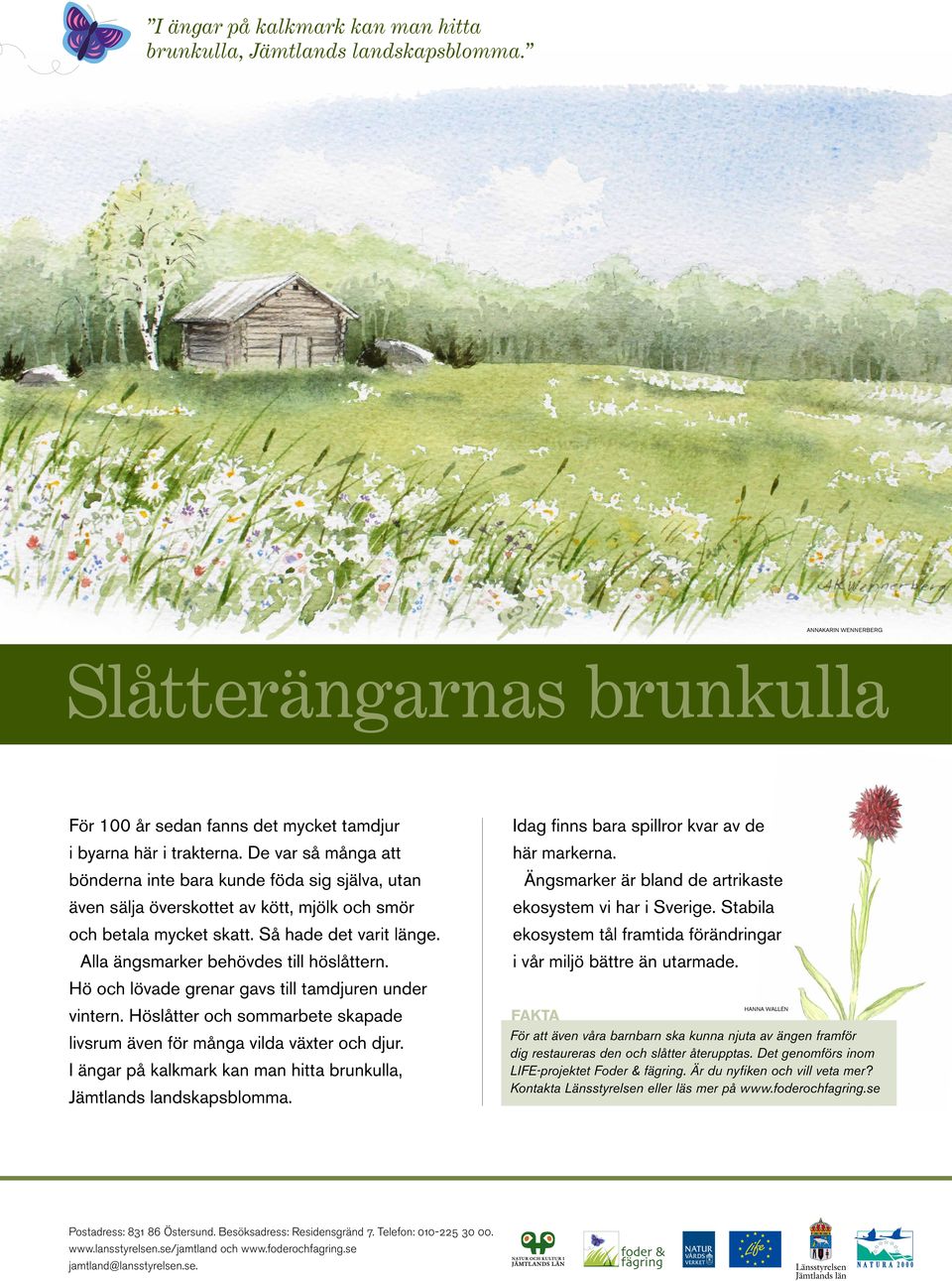 Hö och lövade grenar gavs till tamdjuren under vintern. Höslåtter och sommarbete skapade livsrum även för många vilda växter och djur.