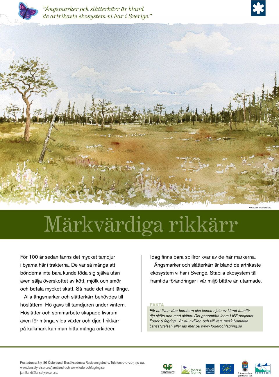 Ängsmarker och slåtterkärr är bland de artrikaste ekosystem vi har i Sverige. Stabila ekosystem tål framtida förändringar i vår miljö bättre än utarmade.