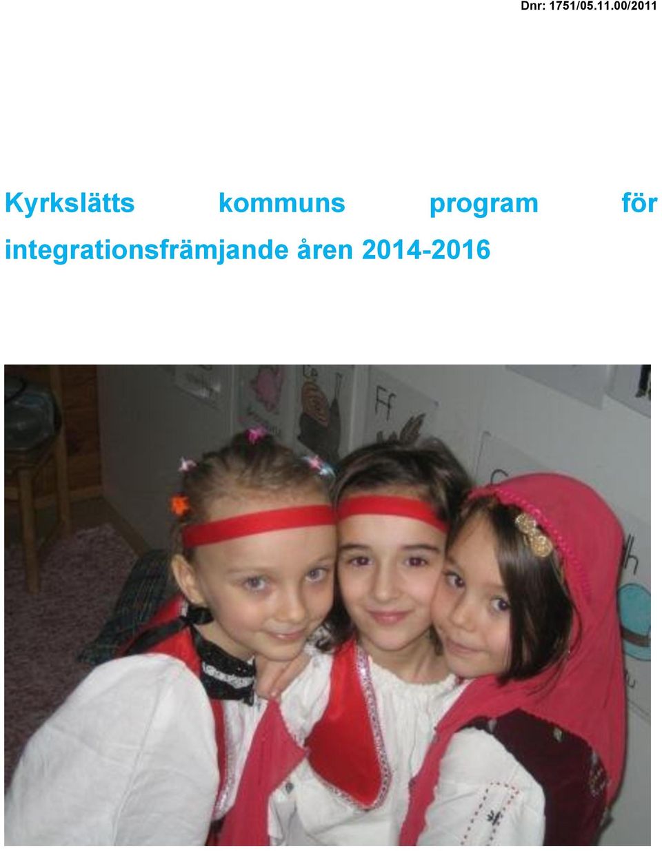 kommuns program för
