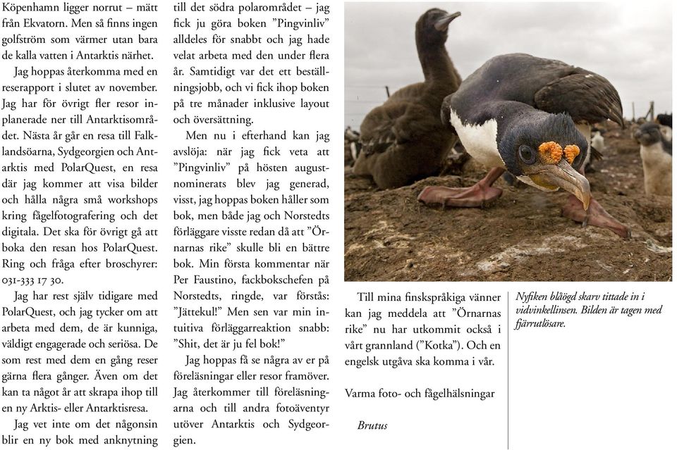 Nästa år går en resa till Falklandsöarna, Sydgeorgien och Antarktis med PolarQuest, en resa där jag kommer att visa bilder och hålla några små workshops kring fågelfotografering och det digitala.