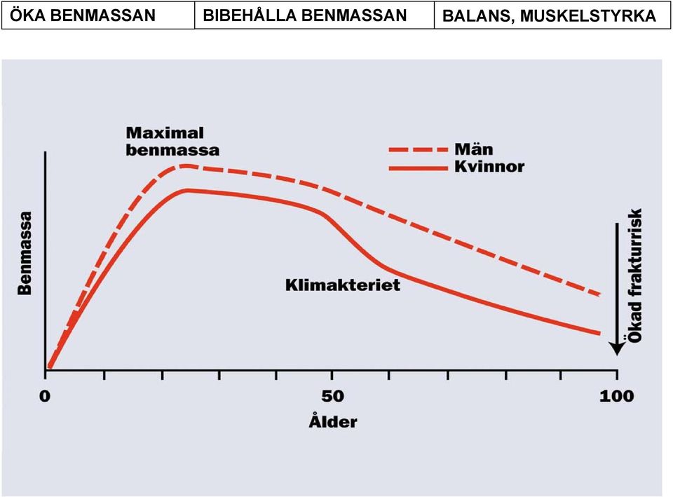 BENMASSAN