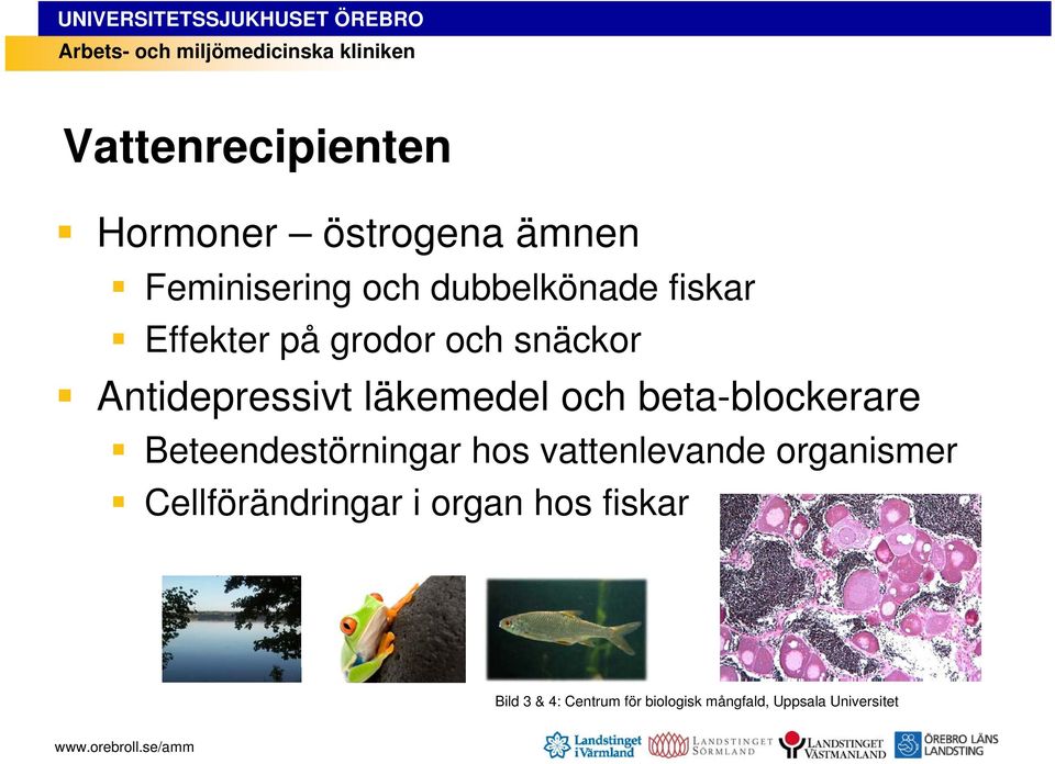 beta-blockerare Beteendestörningar hos vattenlevande organismer