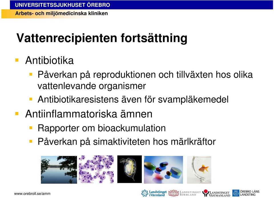 Antibiotikaresistens även för svampläkemedel Antiinflammatoriska