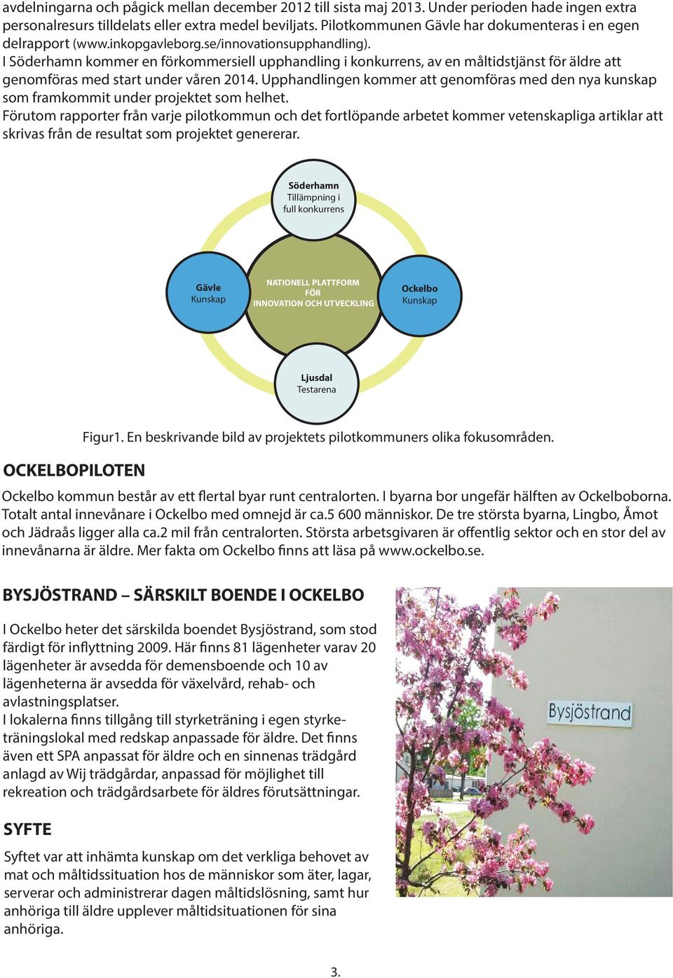 I Söderhamn kommer en förkommersiell upphandling i konkurrens, av en måltidstjänst för äldre att genomföras med start under våren 2014.