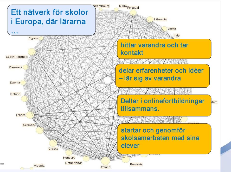 lär sig av varandra Deltar i onlinefortbildningar