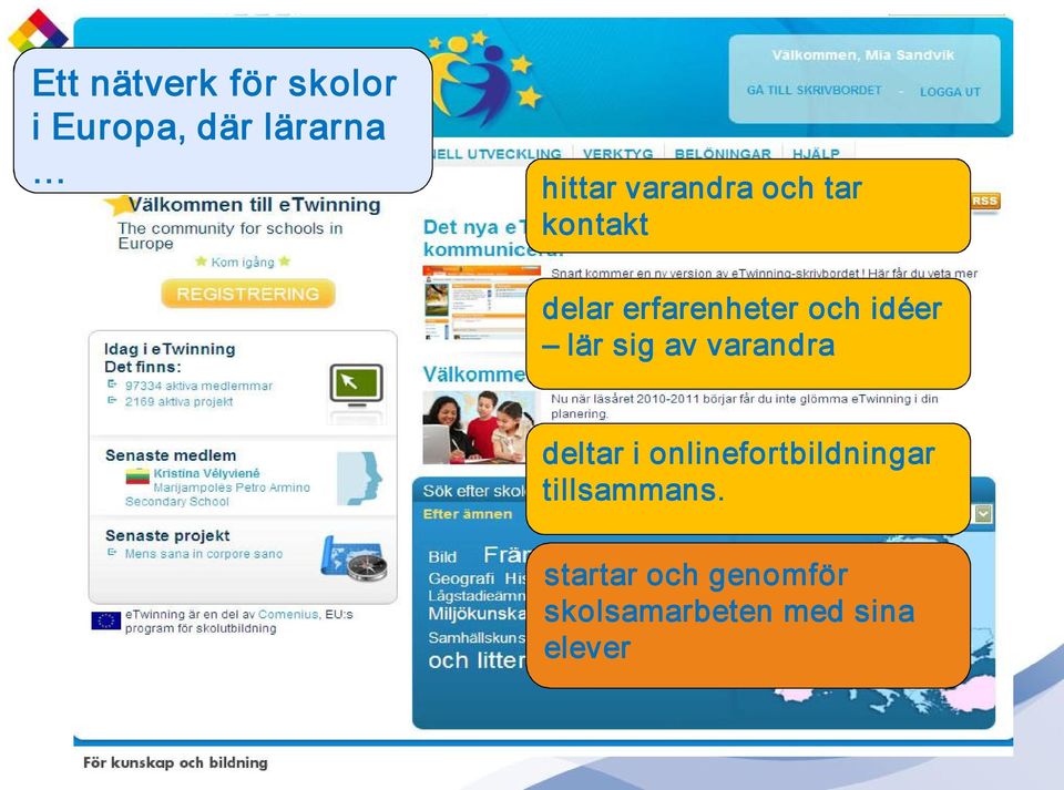 lär sig av varandra deltar i onlinefortbildningar