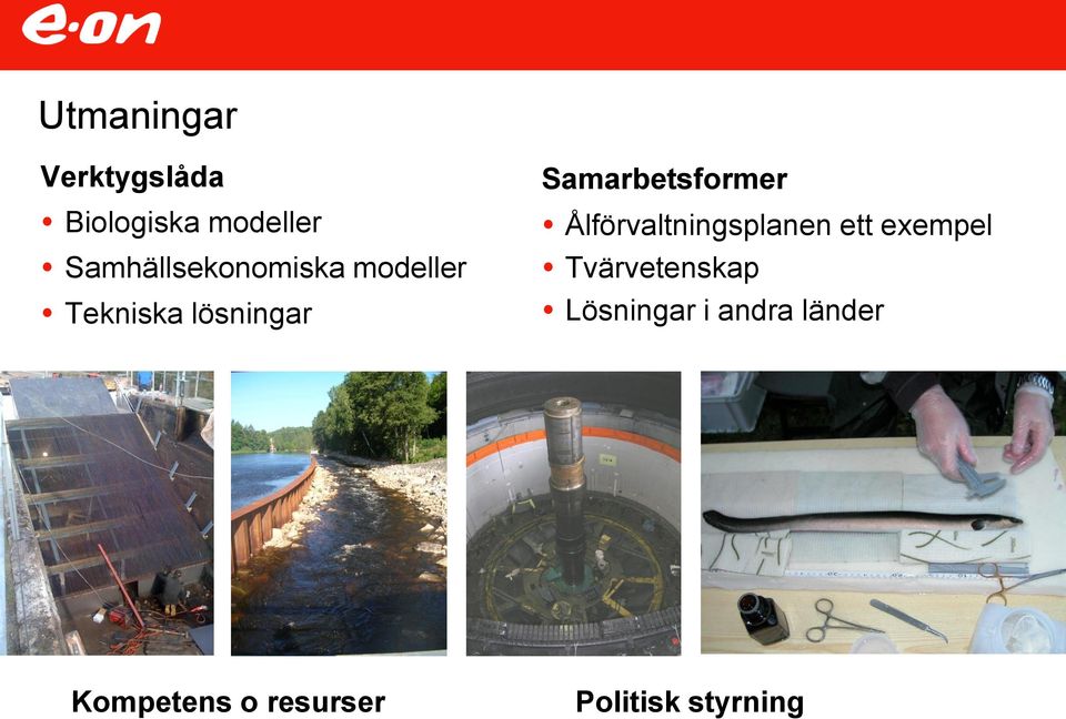 Samarbetsformer Ålförvaltningsplanen ett exempel