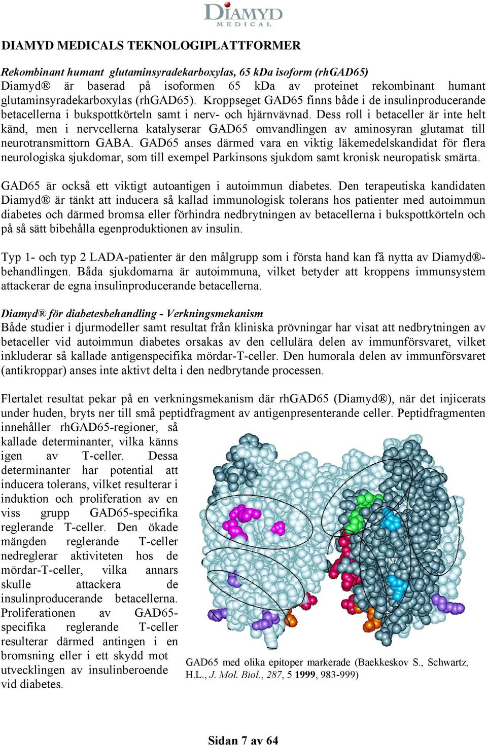 Dess roll i betaceller är inte helt känd, men i nervcellerna katalyserar GAD65 omvandlingen av aminosyran glutamat till neurotransmittorn GABA.