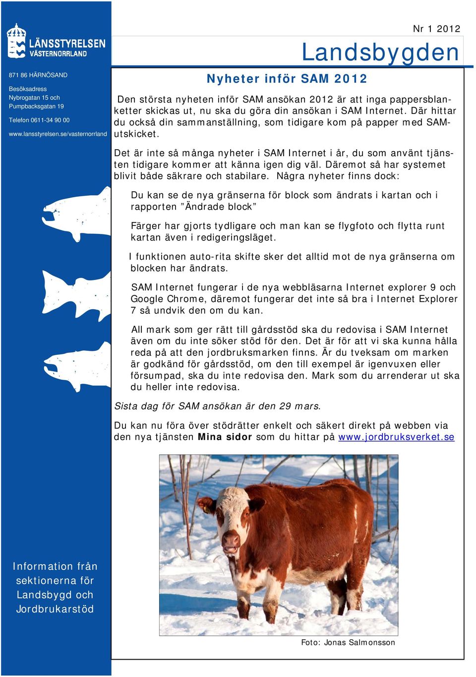 Där hittar du också din sammanställning, som tidigare kom på papper med SAMutskicket. Det är inte så många nyheter i SAM Internet i år, du som använt tjänsten tidigare kommer att känna igen dig väl.