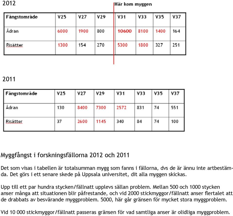 Mellan 500 och 1000 stycken anser många att situationen blir påfrestande, och vid 2000 stickmyggor/fällnatt anser flertalet att de drabbats av besvärande