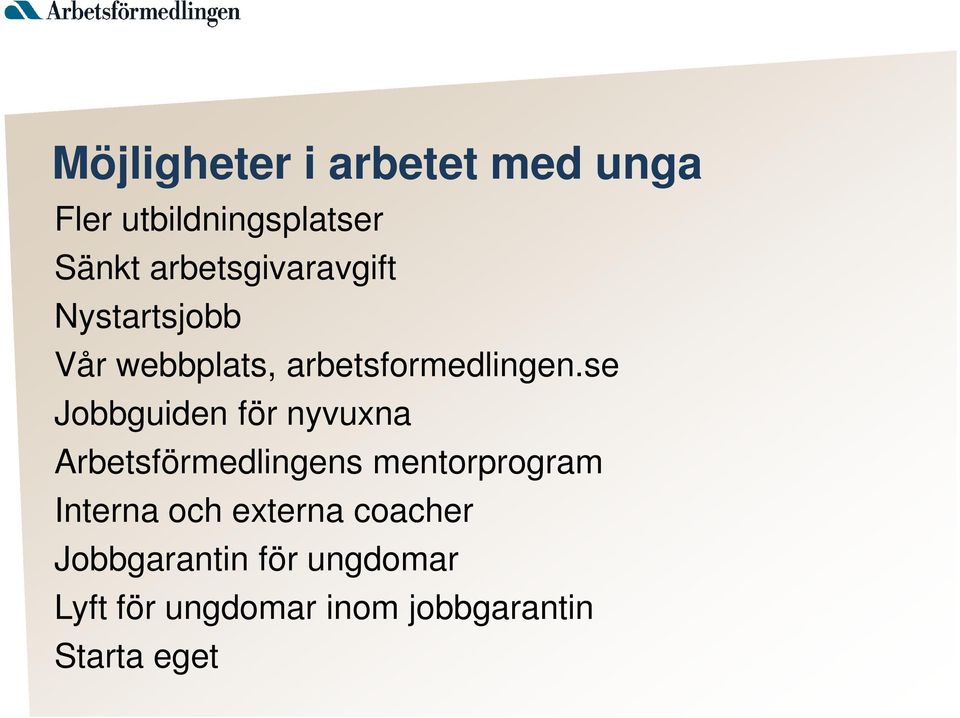 se Jobbguiden för nyvuxna Arbetsförmedlingens mentorprogram Interna och